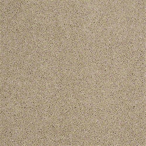 Free Spirit in Nutria - Carpet by Shaw Flooring
