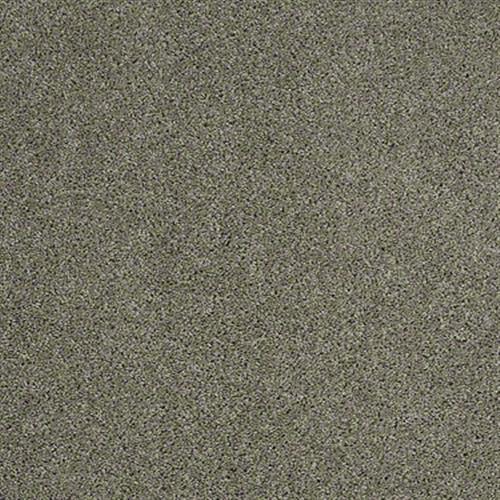 Free Spirit in Landscape - Carpet by Shaw Flooring