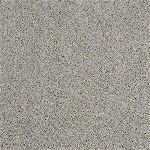 Free Spirit in Nickel - Carpet by Shaw Flooring