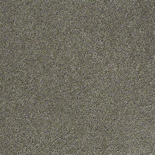 Free Spirit in Steel Beam - Carpet by Shaw Flooring