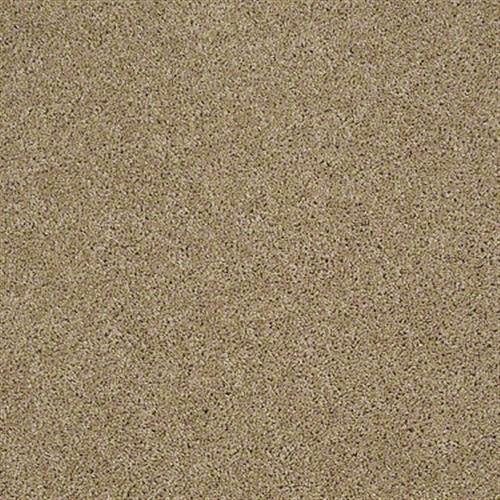 Free Spirit in Timber Line - Carpet by Shaw Flooring