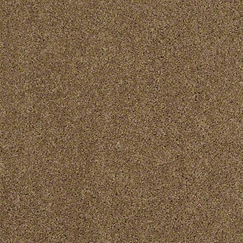 Free Spirit in Summer Straw - Carpet by Shaw Flooring
