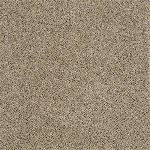 Free Spirit in Pebble Path - Carpet by Shaw Flooring