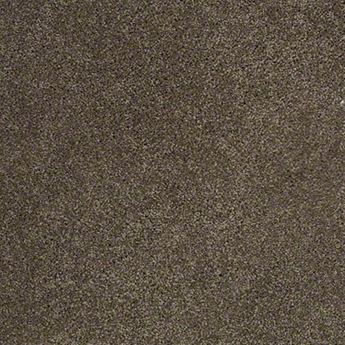 Free Spirit in Dark Chocolate - Carpet by Shaw Flooring