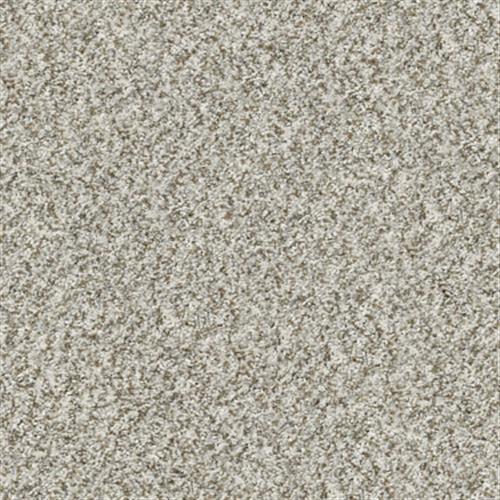 Presidio Tweed in Seashell - Carpet by Shaw Flooring