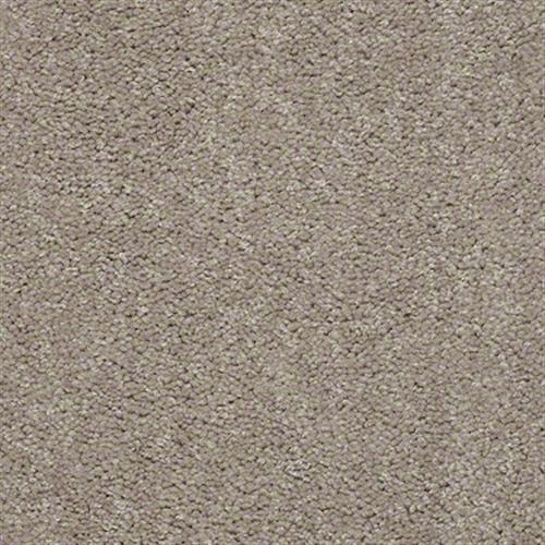 Plaster