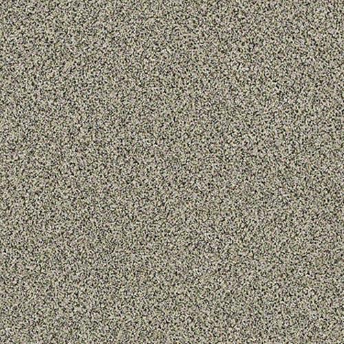 Pari Passu III in Heirloom - Carpet by Shaw Flooring