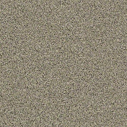 Pari Passu III in Grain - Carpet by Shaw Flooring