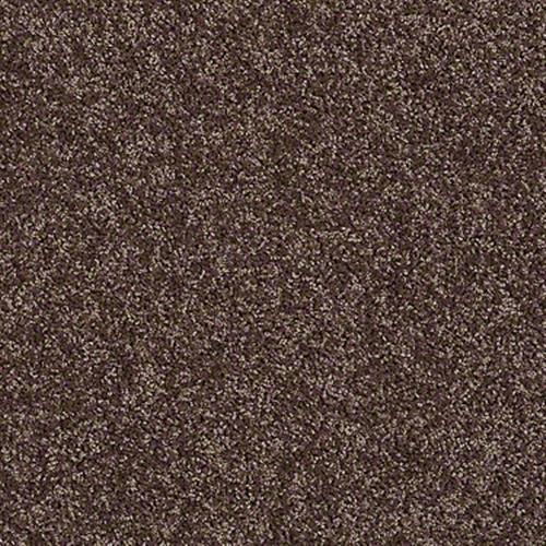 Style 50 (s) in Truffle - Carpet by Shaw Flooring