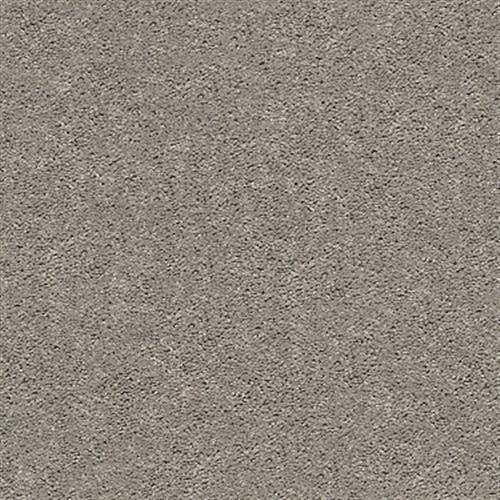 Collier Peak by Builder Flooring - Perfect Taupe