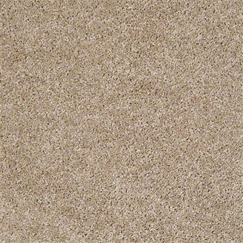 Xv467 in Macaroon - Carpet by Shaw Flooring