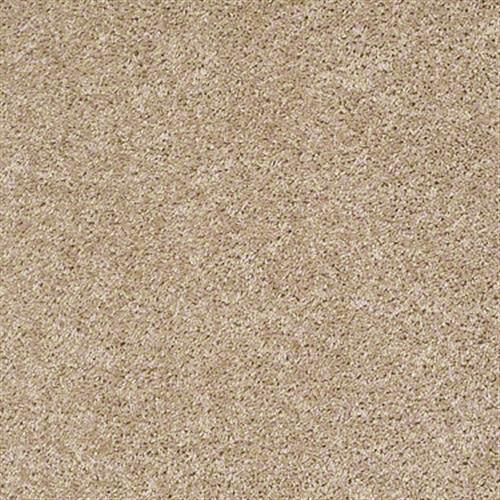 Xv467 in Quiet Splendor - Carpet by Shaw Flooring
