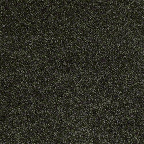 Xv467 in Jaden - Carpet by Shaw Flooring