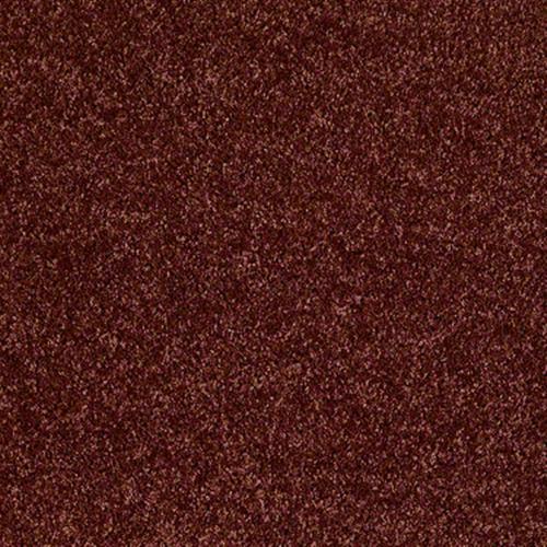 Xv467 in Sienna - Carpet by Shaw Flooring