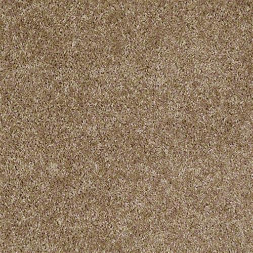 Xv467 in Veranda - Carpet by Shaw Flooring