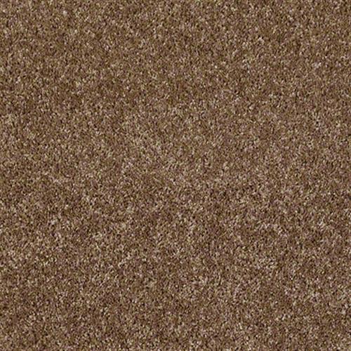 Xv467 in Ridgecrest - Carpet by Shaw Flooring