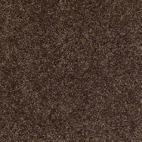 Xv467 in Montana - Carpet by Shaw Flooring