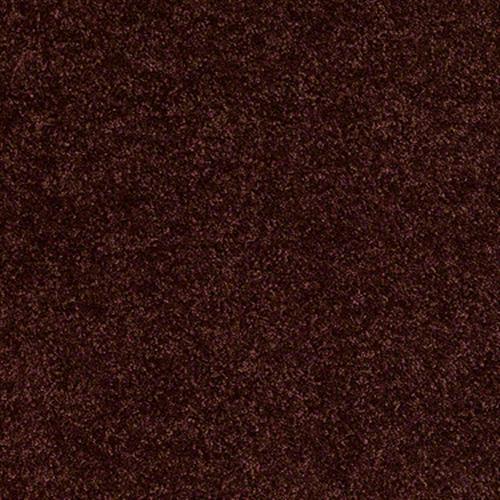 Xv467 in Chianti - Carpet by Shaw Flooring
