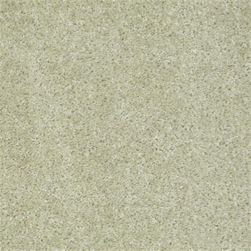 Eco Choice in Stucco - Carpet by Shaw Flooring