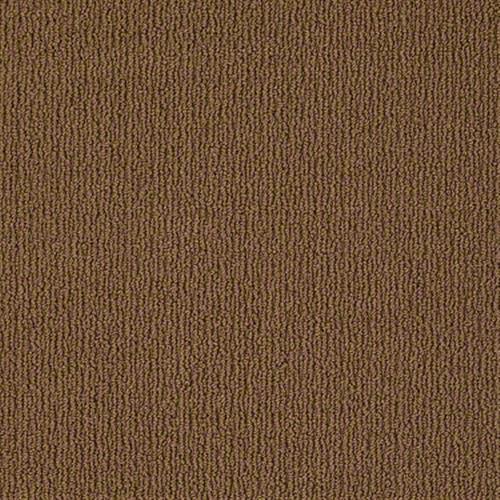 Modern Brown
