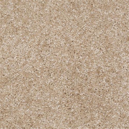 Eco Choice Classic in Driftwood - Carpet by Shaw Flooring
