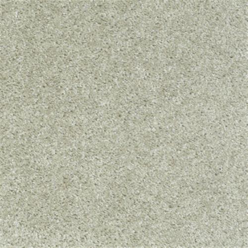 Eco Choice Classic in Alloy - Carpet by Shaw Flooring
