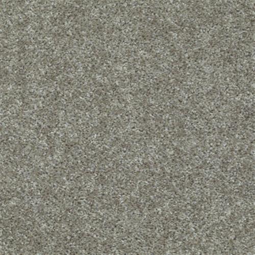 Eco Choice Classic in Chinchilla - Carpet by Shaw Flooring