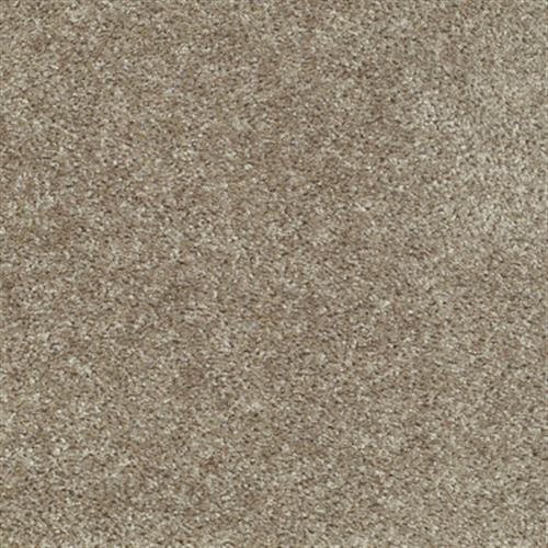 Eco Choice Classic in Camille - Carpet by Shaw Flooring