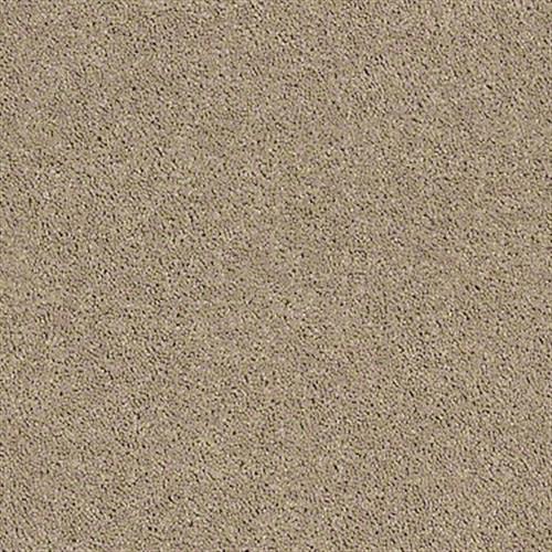 SV335 (S) Tunic Dust Carpet 12122_7B4J8 by Shaw Flooring