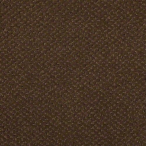 Weldmore II in Bugle - Carpet by Shaw Flooring