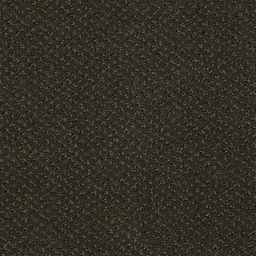 Weldmore II in Camouflage - Carpet by Shaw Flooring