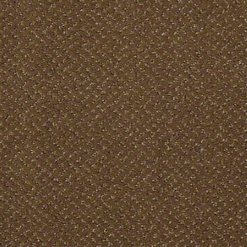 Weldmore II in Beef Broth - Carpet by Shaw Flooring