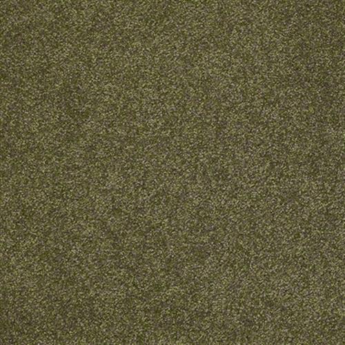 Queen Of Hearts in Crocodile - Carpet by Shaw Flooring
