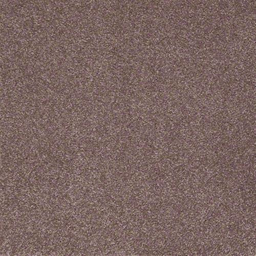 Queen Of Hearts in Violet - Carpet by Shaw Flooring