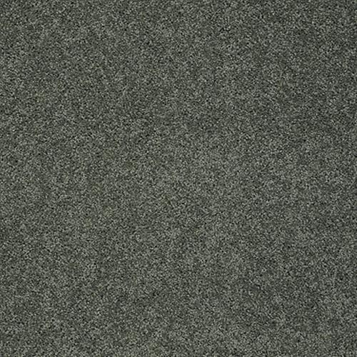 Traveler Royale in Beanstalk - Carpet by Shaw Flooring