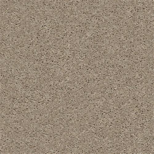 Builder Standard (S) by Shaw Floors Net - Soft Sand