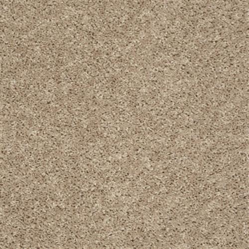 Builder Standard (S) by Shaw Floors Net - Natural Flax