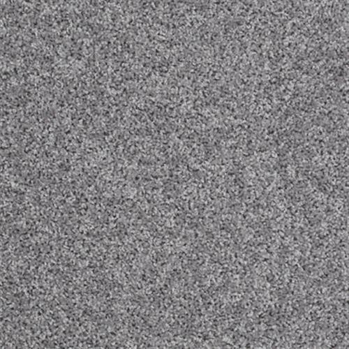 Builder Standard (S) by Shaw Floors Net - Antique Pewter