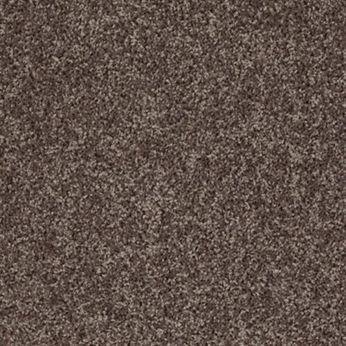 Builder Standard (S) by Shaw Floors Net - Saddle