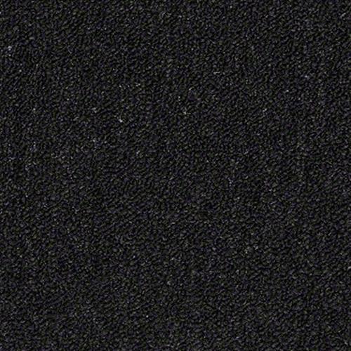 Sp864 in Black Stallion - Carpet by Shaw Flooring