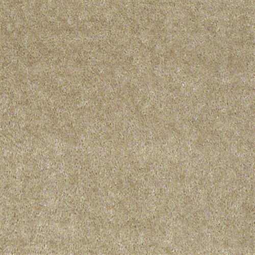 Sprinter by Shaw Floors Value - Tapestry