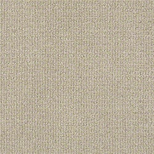 Chambord II in Fine Grain - Carpet by Shaw Flooring