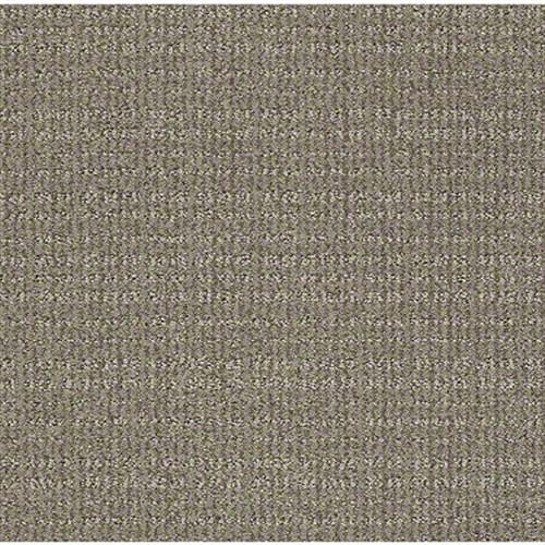 Chambord II in Brindle - Carpet by Shaw Flooring
