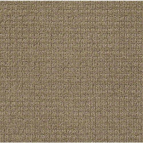 Chambord II in Twig - Carpet by Shaw Flooring