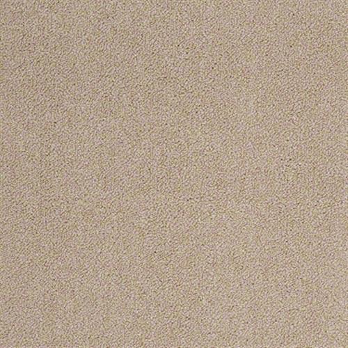 Winchester 26 by Shaw Industries - Berber Beige