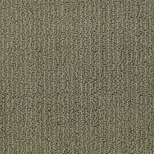 These Dreams in Verde - Carpet by Shaw Flooring