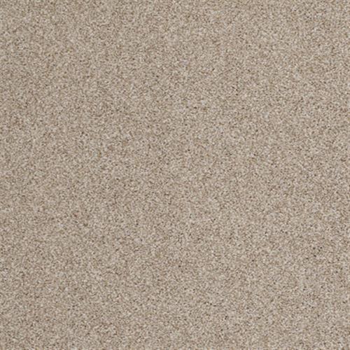 Ferndale in Suitable - Carpet by Shaw Flooring