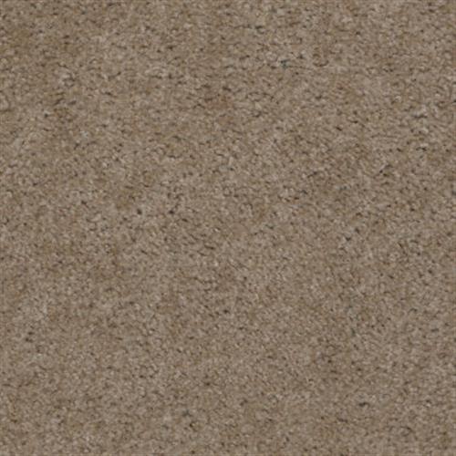 Aztec (s) in Truffle - Carpet by Shaw Flooring