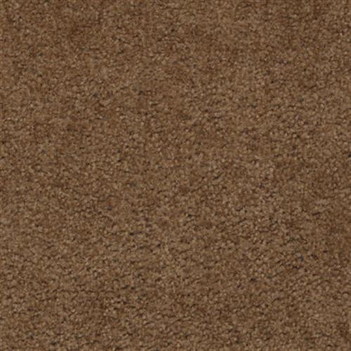 Aztec (s) in Hot Chocolate - Carpet by Shaw Flooring