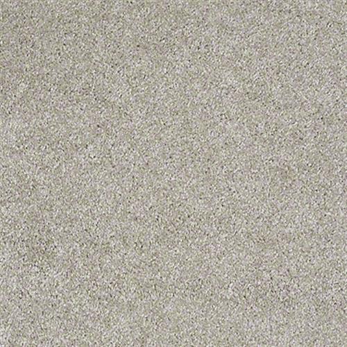 Golden Cove Cascade Carpet 00152_HGP02 by Shaw Flooring